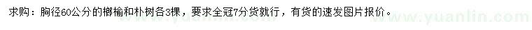 求購胸徑60公分榔榆、樸樹