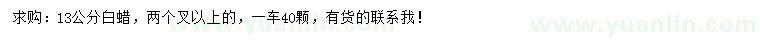 求購(gòu)13公分白蠟