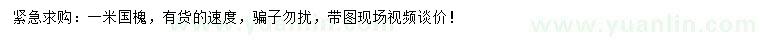 求購(gòu)1米國(guó)槐