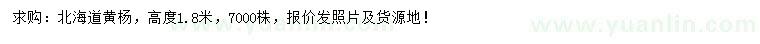 求購高1.8米北海道黃楊