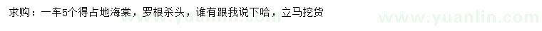 求購海棠