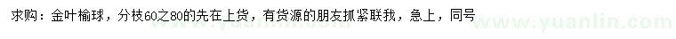 求購(gòu)金葉榆球