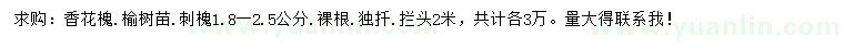 求購香花槐、榆樹苗、刺槐