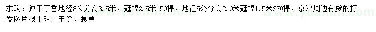 求購(gòu)地徑5、8公分丁香