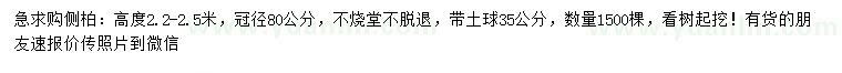 求購高2.2-2.5米側(cè)柏