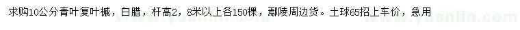 求購10公分青葉復(fù)葉槭
