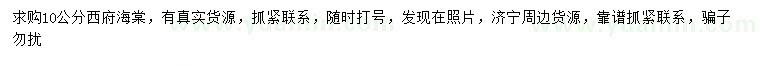 求購10公分西府海棠