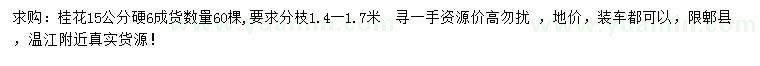 求購15公分桂花