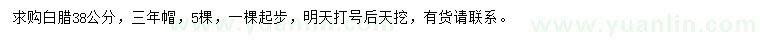 求購(gòu)38公分白蠟