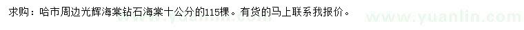 求購10公分光輝海棠、鉆石海棠