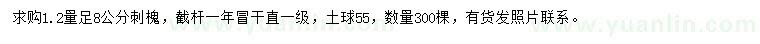 求購1.2米量8公分刺槐