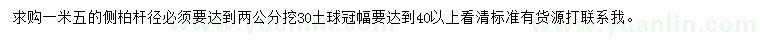 求購1.5米側(cè)柏