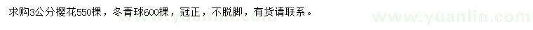 求購3公分櫻花、冬青球