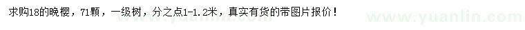 求購18公分晚櫻