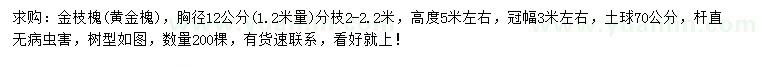 求購胸徑12公分金枝槐/黃金槐