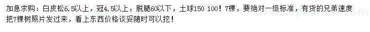 求購(gòu)白皮松