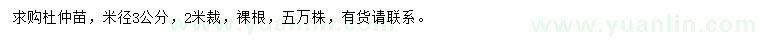 求購米徑3公分杜仲苗