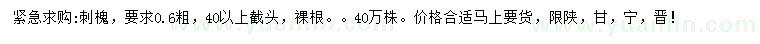 求購刺槐