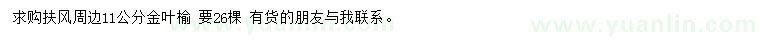 求購11公分金葉榆