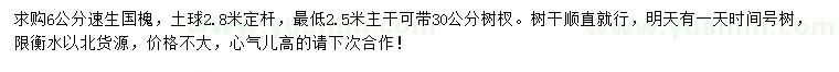 求購6公分速生國槐