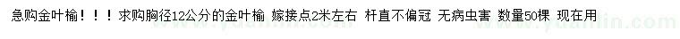 求購胸徑12公分金葉榆