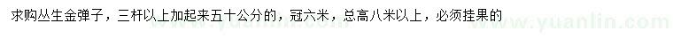 求購(gòu)高八米以上叢生金彈子