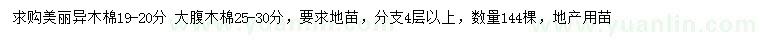 求購19-20公分美麗異木棉、25-30公分大腹木棉