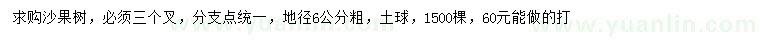 求購(gòu)地徑6公分沙果樹(shù)