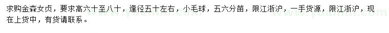 求購高60-80公分金森女貞