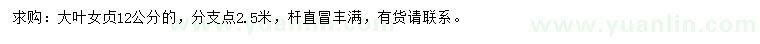 求購12公分大葉女貞