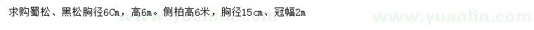求購蜀檜、側(cè)柏、黑松