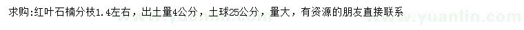 求購出土量4公分紅葉石楠
