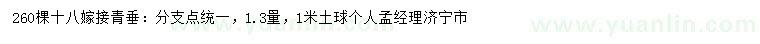 求購18公分青垂