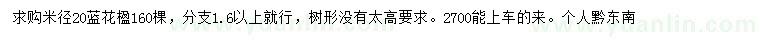 求購米徑20公分藍(lán)花楹