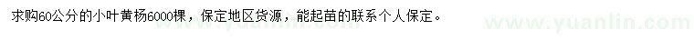 求購(gòu)60公分小葉黃楊