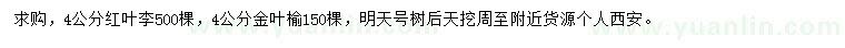 求購4公分紅葉李、金葉榆