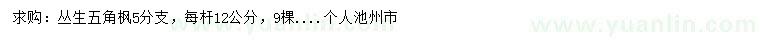 求購叢生五角楓
