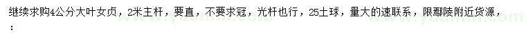 求購4公分大葉女貞
