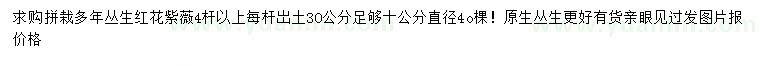 求購直徑10公分叢生紅花紫薇