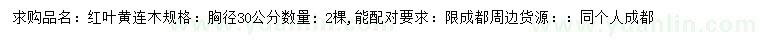 求購胸徑30公分紅葉黃連木