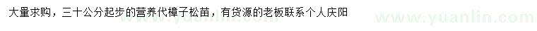 求購30公分以上樟子松