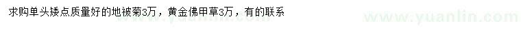 求購(gòu)地被菊、黃金佛甲草