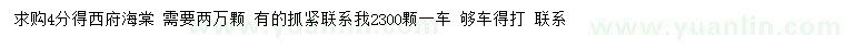 求購4公分西府海棠