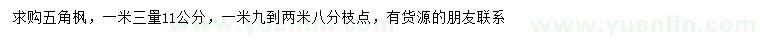 求購1.3米量11公分五角楓