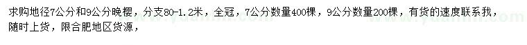 求購7、9公分晚櫻