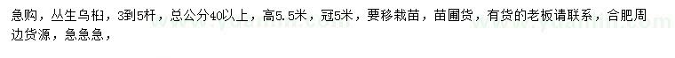 求購(gòu)總公分40以上叢生烏桕