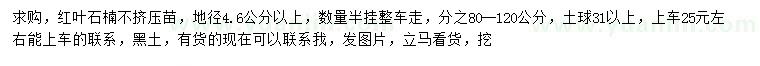求購地徑4.6公分以上紅葉石楠