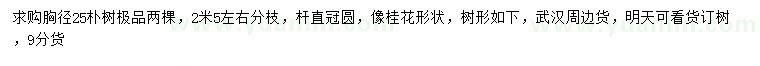 求購胸徑25公分樸樹