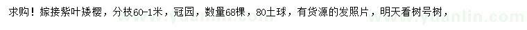 求購紫葉矮櫻