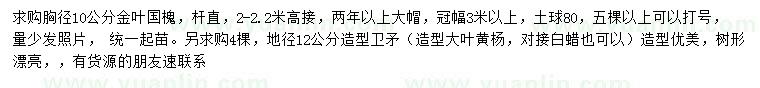 求購胸徑10公分金葉國槐、地徑12公分造型衛(wèi)矛